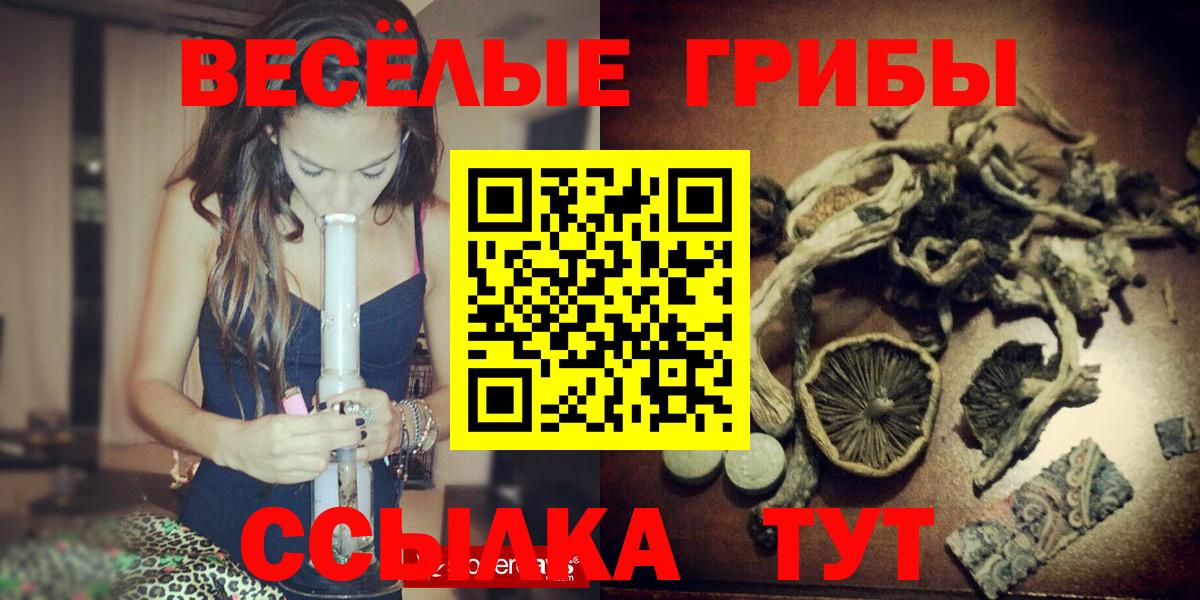 Галлюциногенные грибы Psilocybe  купить  цена  Медногорск  Вход с VPN 